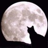 Lost_Moon
